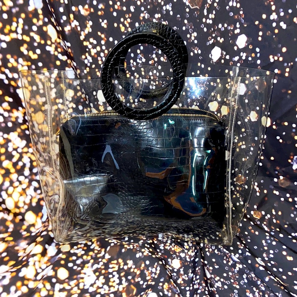 Clear & Black Purse